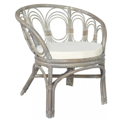 Jídelní židle přírodní ratan / plátno Dekorhome Přírodní vidaXL