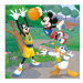 Walt Disney Mickey a Minnie sportovci 3x55D