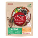 Purina ONE MINI/SMALL < 10kg Active Bohaté na kuře, s rýží 800g