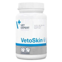 VETEXPERT VetoSkin pro psy a kočky 60 kapslí