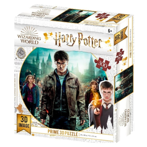 3D puzzle Harry Potter-Harry, Hermioneand Ron 300ks Sparkys