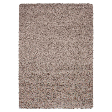 Ayyildiz koberce Kusový koberec Dream Shaggy 4000 beige Rozměry koberců: 80x150