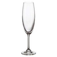 Crystalite Bohemia sklenice na šampaňské Sylvia 220 ml 6KS