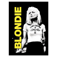 Obraz na zeď - Blondie - live