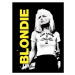 Obraz na zeď - Blondie - live, 30x40 cm