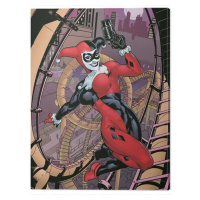 Obraz na plátně Harley Quinn - Rollercoaster, (60 x 80 cm)