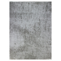 Berfin Dywany Kusový koberec Dizayn 2329 Grey - 80x150 cm