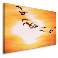 MyBestHome BOX Plátno Ptáci na obloze I. Varianta: 120x80