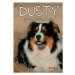 Dusty: Nebezpečné prázdniny - Jan Andersen