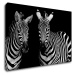 Impresi Obraz Dvě zebry černobílé - 60 x 40 cm