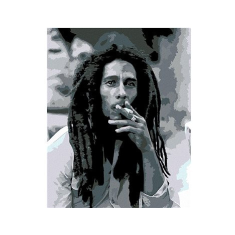 Diamondi - KOUŘÍCÍ BOB MARLEY, 40x50 cm, vypnuté plátno na rám