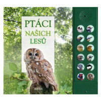 Ptáci našich lesů | Andrea Pinnington, Caz Buckingham