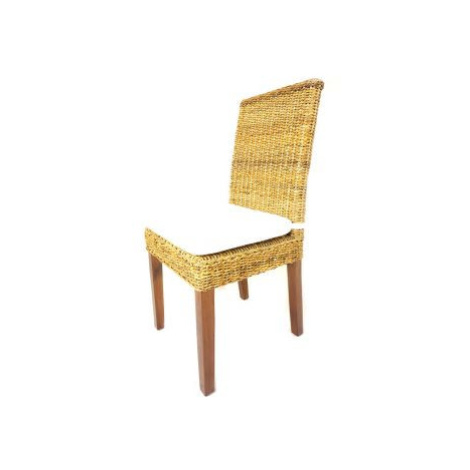 Jídelní židle LENKA - banánový list - konstrukce mahagon FOR LIVING