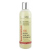 Spa Master Bond builder regenerační šampon 330 ml