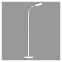 Briloner LED stojací lampa Office Step bílá stmívatelná CCT