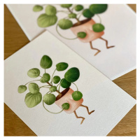 Botanická ilustrace Zahanbená pilea A3