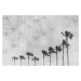 Umělecká fotografie California Vibes In Black & White, Melanie Viola, (40 x 26.7 cm)