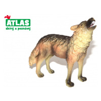 Atlas A Vlk 7 cm