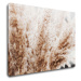Impresi Obraz Suchá tráva skandinávský styl - 70 x 50 cm