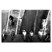 Fotografie six pigeons, franco maffei, 40 × 26.7 cm