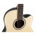 Applause AB24II CS Mid Cutaway Natural Satin