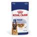 Royal Canin Maxi Adult v omáčce - výhodné balení: 20 x 140 g