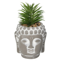 Dekoria Dekorace Succulent I Buddha 17cm, 10 x 10 x 17 cm