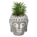 Dekoria Dekorace Succulent I Buddha 17cm, 10 x 10 x 17 cm