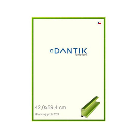 DANTIK rámeček 42 × 59,4, ALU profil 7269 Zelený Smaragd broušený plexi čiré