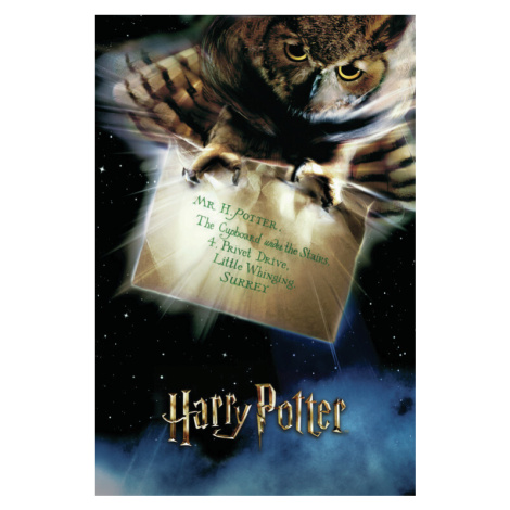 Umělecký tisk Harry Potter - Hedwig, 26.7 × 40 cm