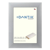 DANTIK rámeček 20 × 30, LEDVINKA bílý sklo čiré