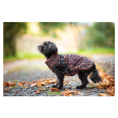 Vsepropejska Adon zimní bunda pro psa s postrojem Barva: Hnědá, Délka zad (cm): 33, Obvod hrudní