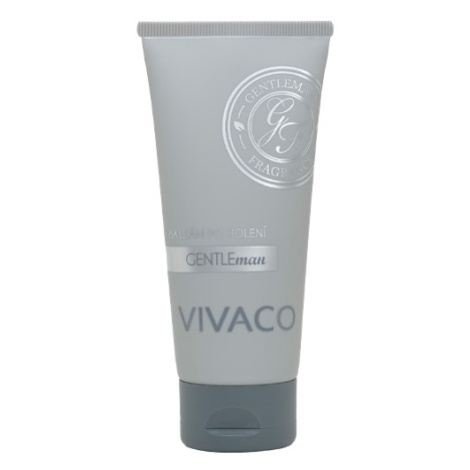 Vivaco Balzám po holení pro muže GENTLEMAN SILVER 100 ml