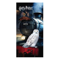 Osuška Harry Potter Sova Hedwiga 70 x 140 cm
