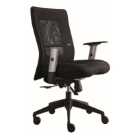 Alba CR LEXA - Alba CR kancelářská židle