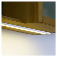 Hera Dynamic LED Top-Stick podhledové světlo, 60 cm