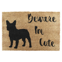 Rohožka z kokosového vlákna 40x60 cm Beware I'm Cute French Bulldog – Artsy Doormats