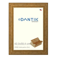 DANTIK rámeček 42 × 59,4, HRAD zlatý patina plexi čiré