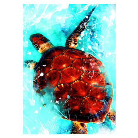 Ilustrace Tortoise animal art, Justyna Jaszke, 30x40 cm
