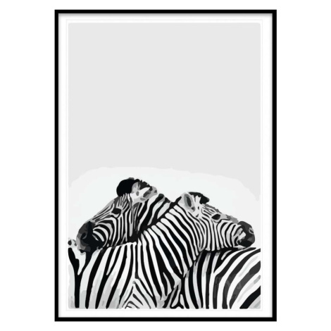 Obraz Piacenza Art Two Zebra, 30 x 20 cm