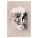 Plakát, Obraz - Ali Gülec - Decay Skull, (61 x 91.5 cm)