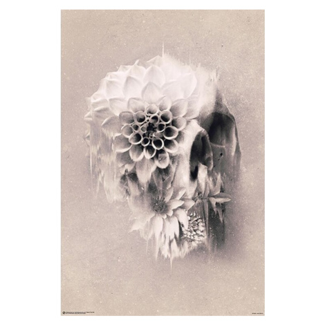 Plakát, Obraz - Ali Gülec - Decay Skull, 61x91.5 cm