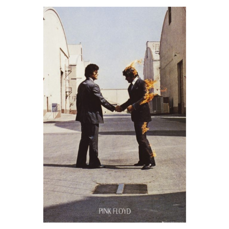 Plakát, Obraz - Pink Floyd - Wish You Were Here, 61x91.5 cm GB Eye