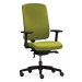 Kancelářská židle Flexi FX 1114