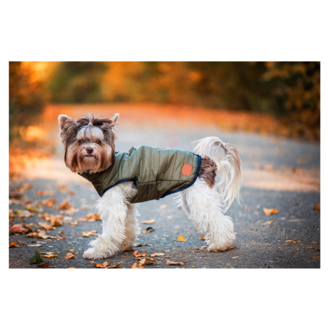 Vsepropejska Targa podzimní bunda pro psa Barva: Zelená, Délka zad (cm): 28, Obvod hrudníku: 33 