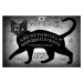 Ilustrace Black Cat Spirit Board, Alchemy, 40 × 26.7 cm