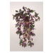 Umělá Gynura závěsná dekorativní rostlina, v. 50 cm
