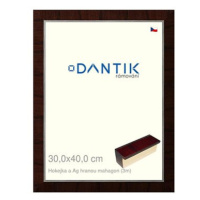 DANTIK rámeček 30 × 40, Hokejka a Ag hranou mahagon plexi čiré