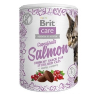 Brit Care Cat Snack Superfruits Salmon 100g