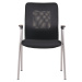 Židle pro návštěvy CALYPSO MT, s područkami a podstavcem se čtyřmi nohami, bal.j. 2 ks, síťované